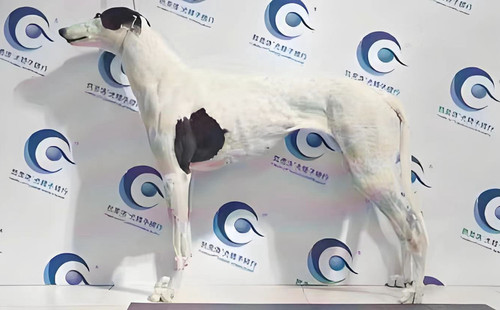 花嘉里 900215002141065