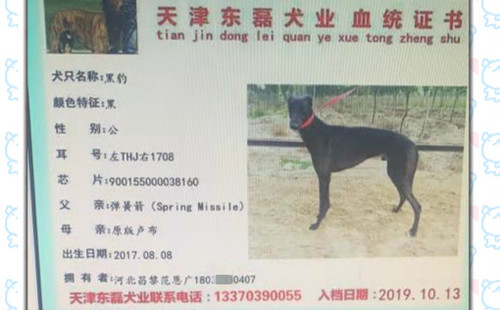 黑豹 900155000038160，THJ1708