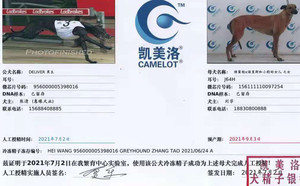 黑王X东方红 156111110097254，J64H.jpg