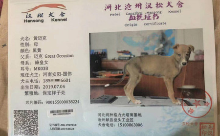 黄迈克 900155000038224
