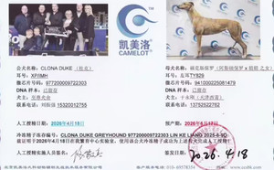杜克X福克斯保罗 941000225081479，TY829.jpg