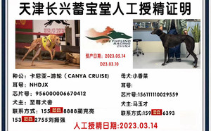 卡尼亚游轮X小香菜 156111110029559.jpg