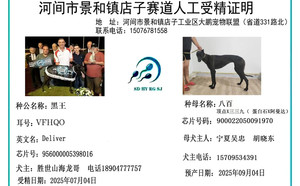 黑王X八百 900022050091970.jpg