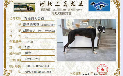 奇怪的大男孩 900215004956434，71N
