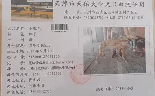 小坦克 DBEL3，515000187032900
