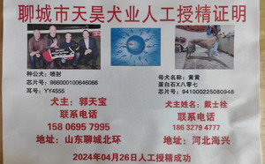 喷射X黄黄 DBLH5，941000225080948.jpg