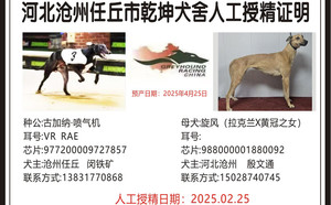 古加纳喷气机X旋风 988000001880092.jpg