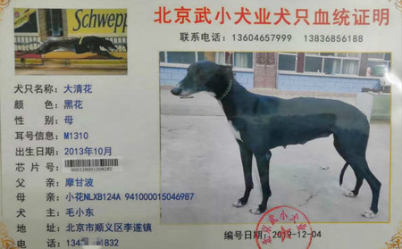 大清花 900128001208282，M1310