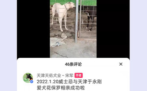 威士忌雪碧X保罗天使 156111110090776.jpg