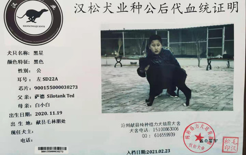 黑星 900155000038273，SD22A