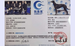 杜克X墨影 900219002829013.jpg