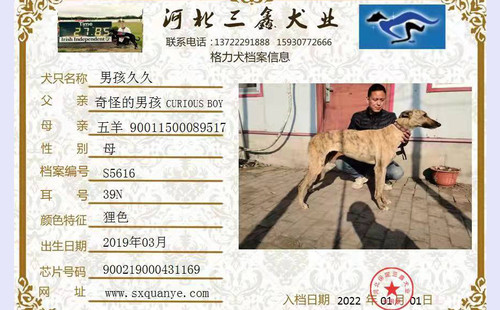男孩久久 900219000431169，S561639N