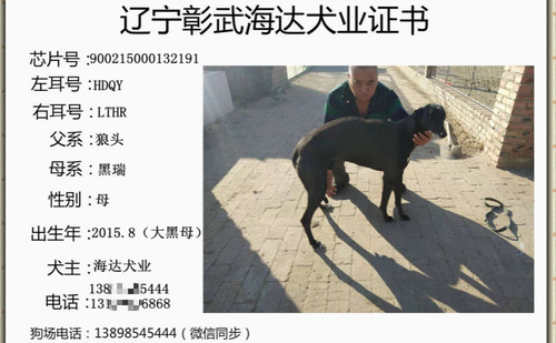 大黑母 990000001029141，900215000132191，HDQYLTHR