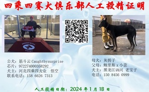 筋斗云X灰拐子 941000016715137.jpg