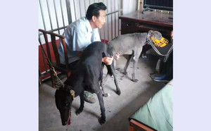 超人小伙子X小灰NG09 106A.jpg