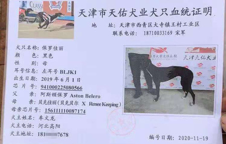 保罗佳丽 BLJK1，941000225080566