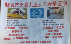 鲍里斯X芒果 941000225080126.jpg