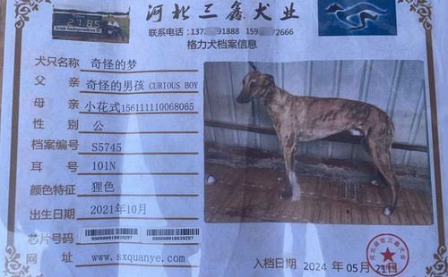 奇怪的梦 990000010039297