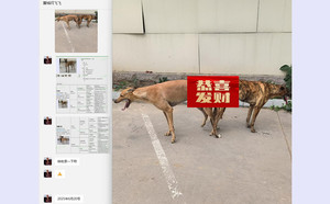 哇塞大圣X红桃A 156111110098621，J612C.jpg