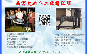 黑王X鲨鱼 994083000000022.jpg