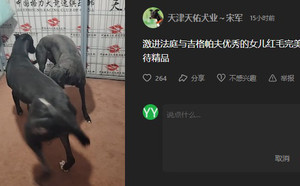激进法庭X红毛 941000225081102.jpg