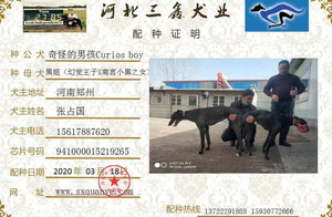 奇怪的男孩X黑妞 941000015219265.jpg