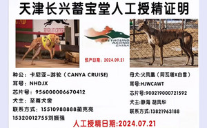 卡尼亚游轮X火凤凰 900219000721592，HJWCAWT.jpg