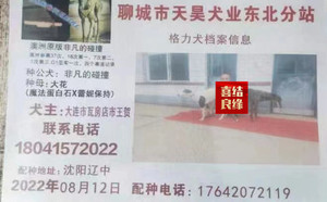非凡的碰撞X大花 DBKP2，900250000274566.jpg