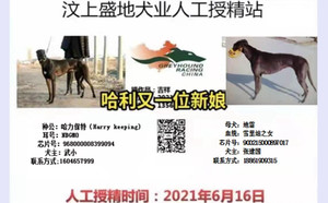 哈利保持X地雷 900215000897017，YX059.jpg