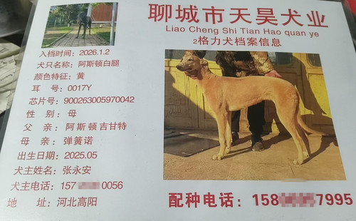 阿斯顿白腿 900263005970042