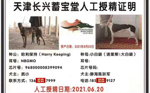 哈利保持X小白腿 900111880089792.jpg