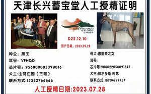 黑王X诺米900022050091347.jpg