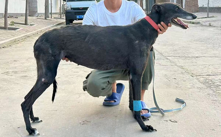 酷宝 990000011177324