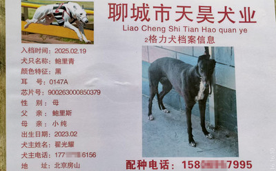 鲍里青 900263000850379