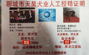 喷射X灰蛋白石 DBYT3，941000225080749.jpg