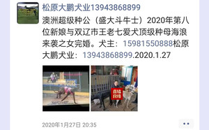 斗牛士X草白 941000225080882.jpg