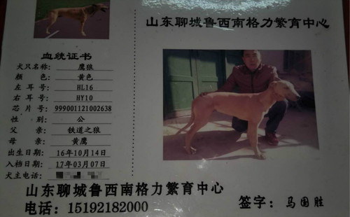鹰狼 HL16 HY10，999001121002638