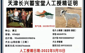 黑王X小黑眼 NGXH 917A，900115000889437.jpg