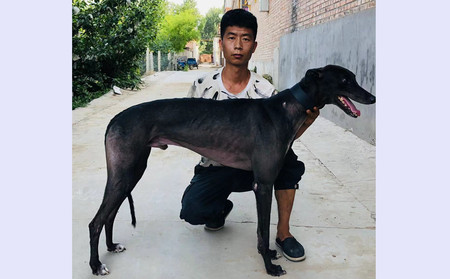 战神 900128001208602