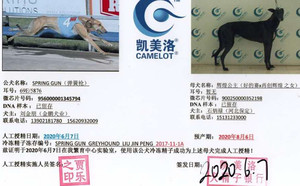 弹簧枪X辉煌公主 900250000352198.jpg