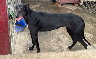 辉煌保罗 900215004905512