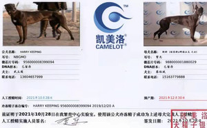 哈利保持X斯斯 988000001880029.jpg