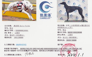 鲍里斯X哈利992001000226098.jpg