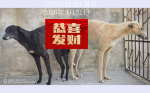 可怕的幻想X黑豆 900215000445615.jpg