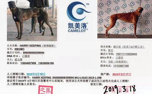 哈利保持X满天星 156111110029445.jpg