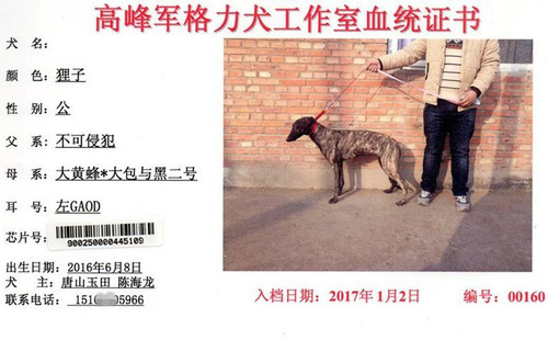 一零九 900250000445109，GAOD
