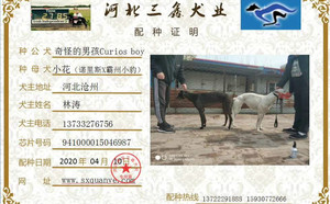 奇怪的男孩X小花 NLXB 124A，941000015046987.jpg