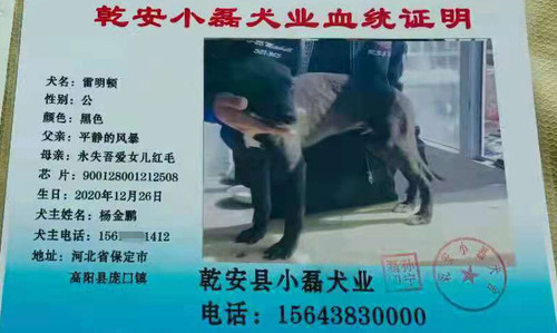 雷明顿 900128001212508