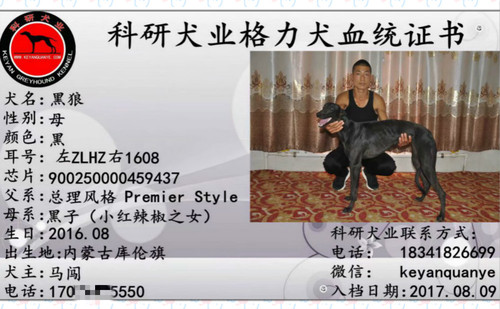 黑狼 900250000459437，ZLHZ1608