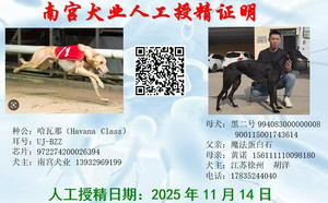 哈瓦那X黑二号 994083000000008.jpg